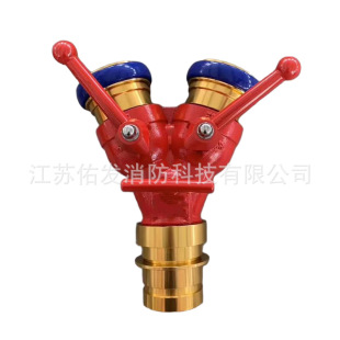 FII80/65&times;2-2.5��������X�V�Ͻ����ˮ������ˮ��ֹˮ���x���i