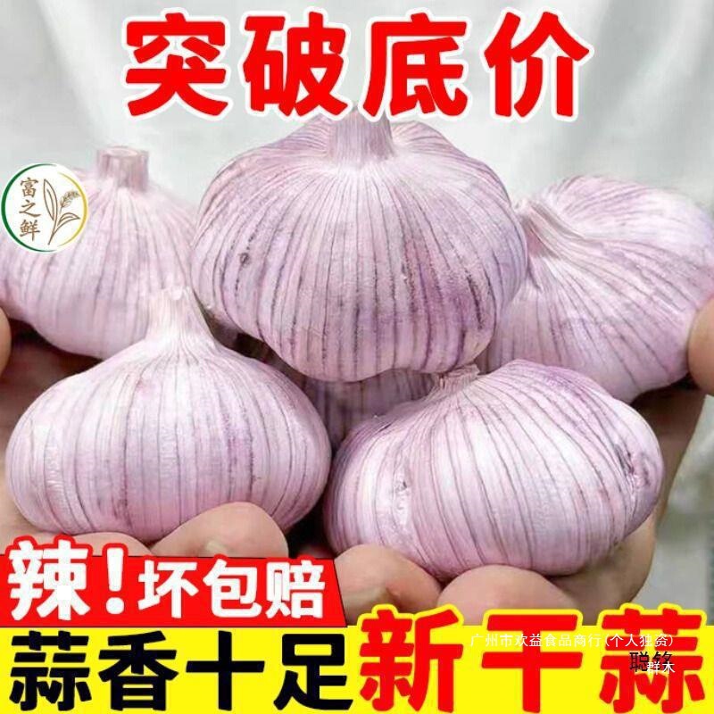 金乡大蒜 新鲜干大蒜头5斤装蒜籽2024当季蔬菜批发紫皮大10斤散装|undefined