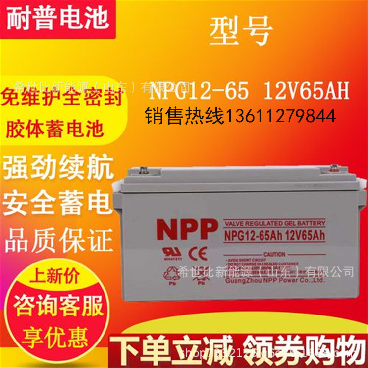 12V65AH主图.jpg