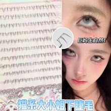 ������؈ϵ��С���½�ë�O��ë������͸�����ٽ�ë�����W�����R��