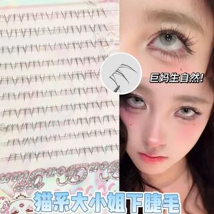 Sweet Cat for a Bag Big Miss Lower Eyelashes Very Fine Hair Flu Clear Pure Desire False Eyelashes Comic Online Mirror