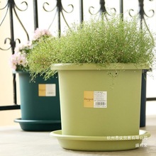 厂家直销爱丽思Deepot深型高筒花盆月季铁线莲树脂爱丽丝塑料