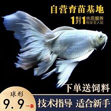 ̨���������^�p�~ʯ�����ˮ�~�����F�����w�Lβ�\���~����w���~
