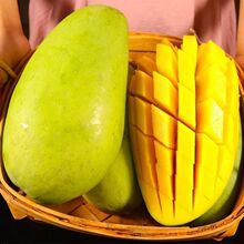 正宗青芒果新鲜水果青皮芒果当季热带纯甜金煌芒薄皮