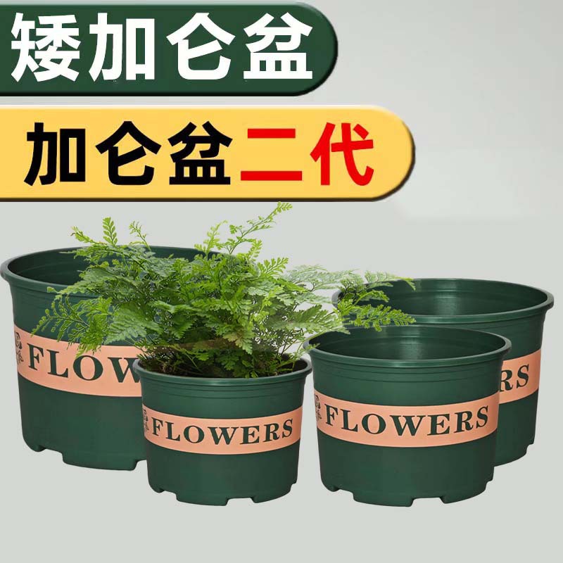 矮款加仑盆塑料花盆环保加厚加仑盆绿萝盆月季花盆阳台塑料盆二代