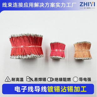 ���z����B�ӌ������������ӹ����ƏS�҆��^�p�^մ�a��a���a