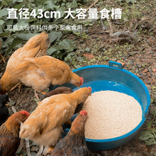 鸡水壶家禽养殖鸡鸭鹅喂鸡食盆食槽饲料盆养鸡下料器喂食神器防撒