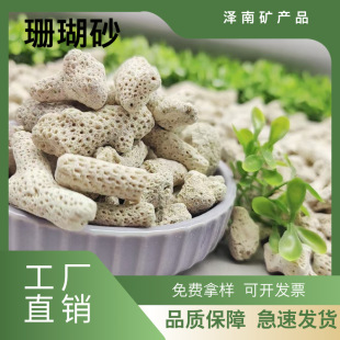 Source Supply of Spot Coral Sand, Coral Bone, Fish Pond Aquarium Filtration Water Treatment Fish Tank Landscaping Coral Stone