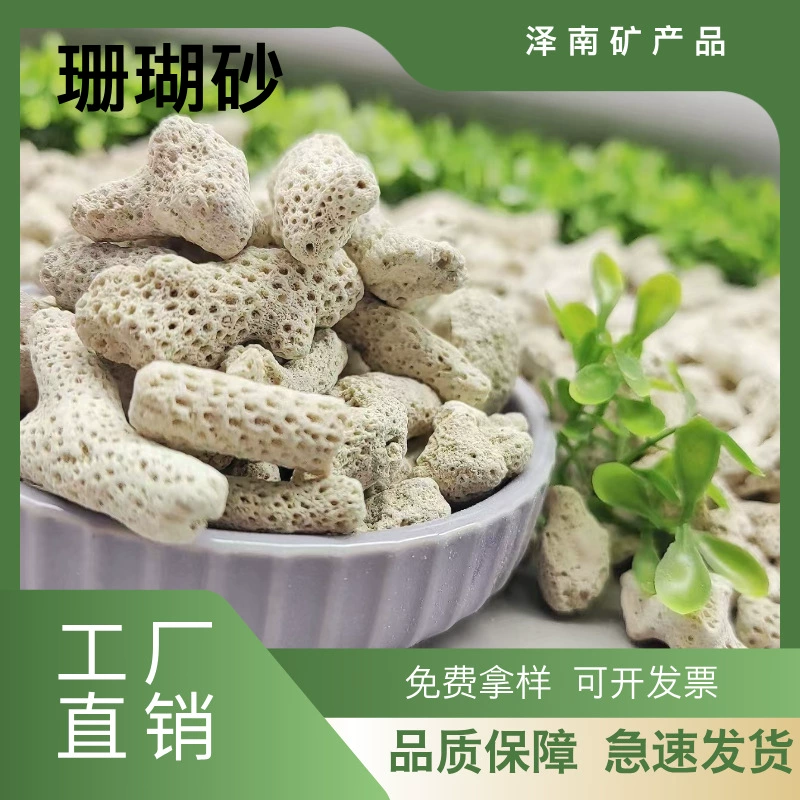 Источник поставки кораллового песка, коралловых костей, фильтрации воды для аквариумов и прудов, обработки воды, ландшафтного дизайна аквариумов и кораллового камня.