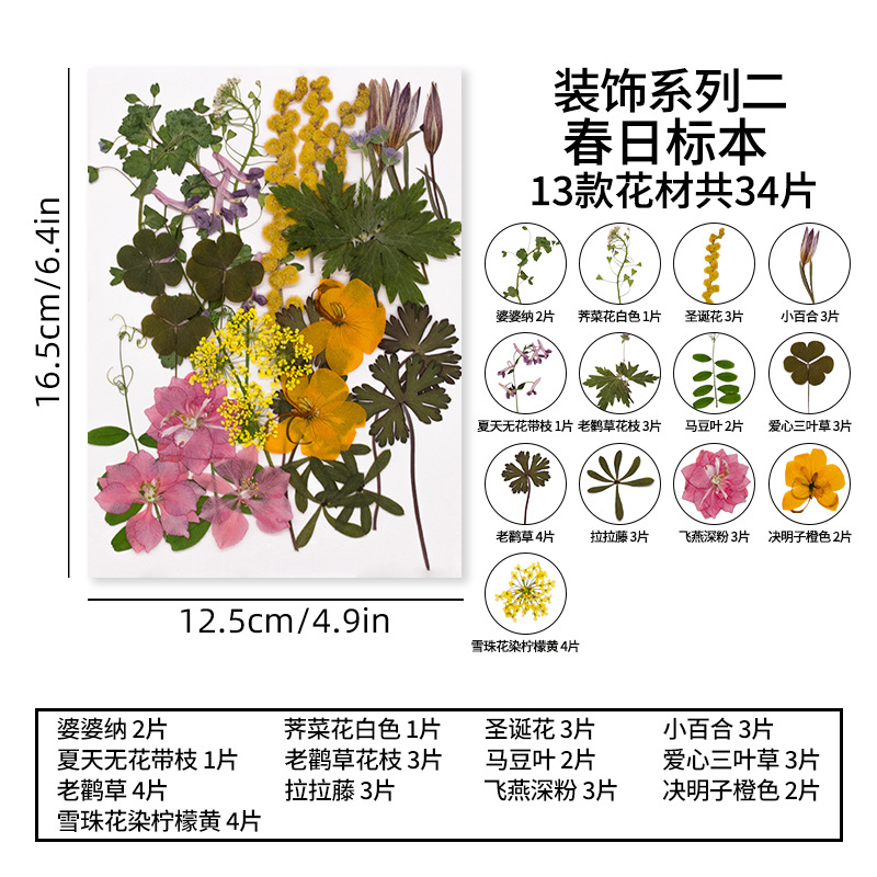 장식 시리즈 2 봄 표본