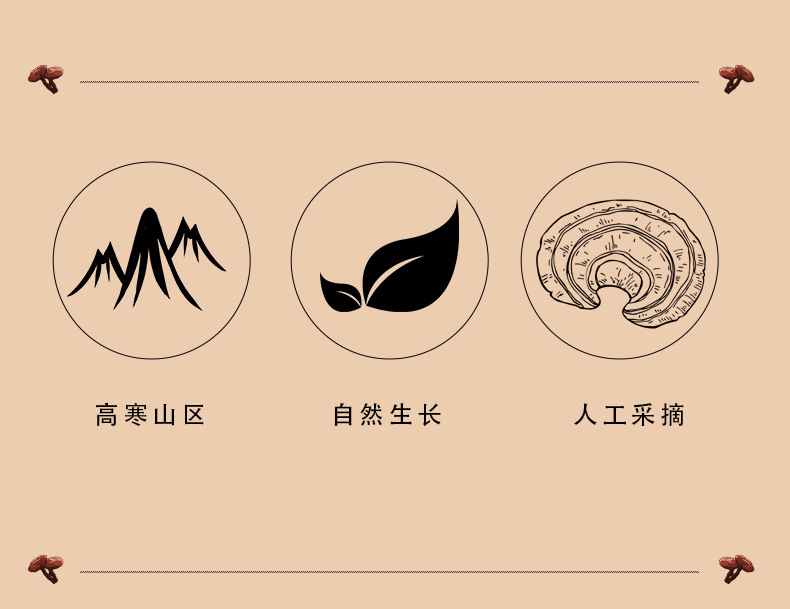 Whole Reishi Mushroom Changbai Mountain Dried Lingzhi Gift Box Nourishing Herbal Wellness key features