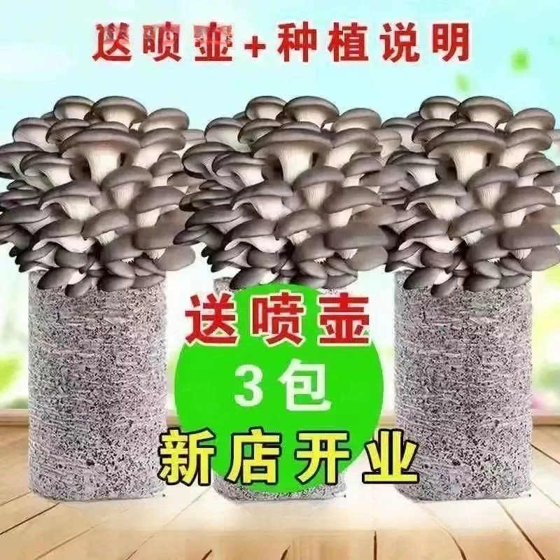 Наборы для выращивания грибов для домашнего выращивания съедобных грибов в помещении.