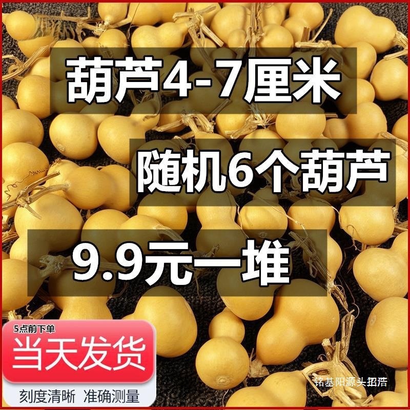 天然小葫芦文玩摆件挂件手把件胖墩烙画雕刻肚三庭八宝种子