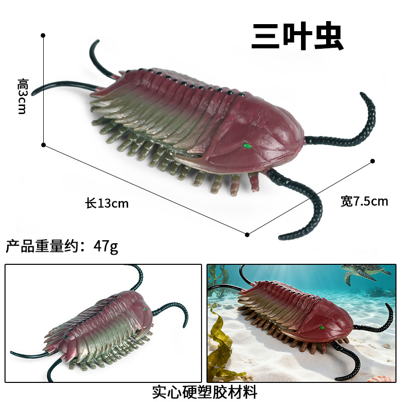 M-1465 trilobite