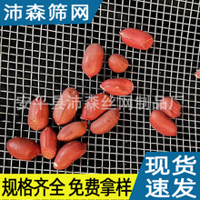 䓽z�W���غYɳ��04��06�������F�z�Y�W�B����������׼Z�}�W