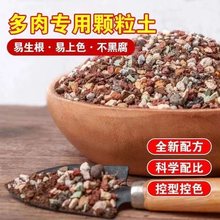 多肉颗粒土多肉土专用营养土壤种植土泥铺面石纯颗粒泥炭花土盆栽