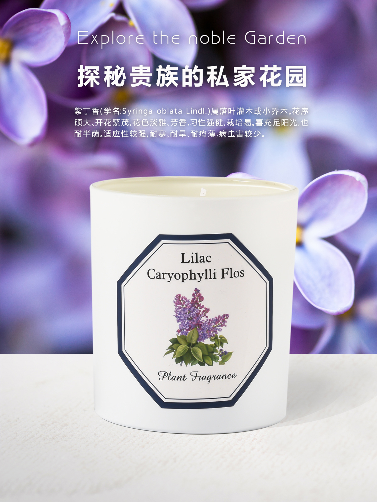 植物学家蜡烛_08