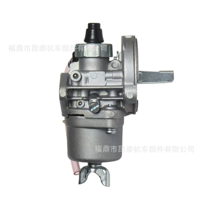 Other starting systems PZ13J carburetor For