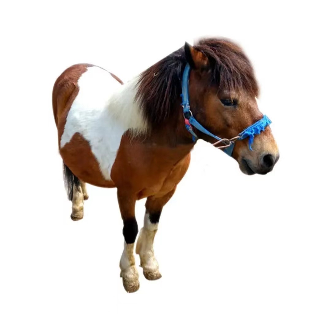 微信图片_202304292034321