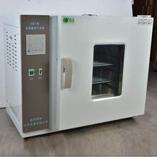 电热鼓风恒温干燥箱 实验室烘箱工业烤箱 老化试验箱101-0A