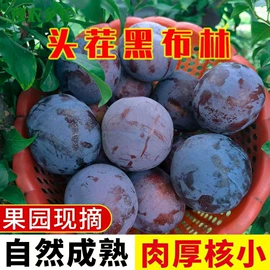 香菇;调味酱;黑木耳