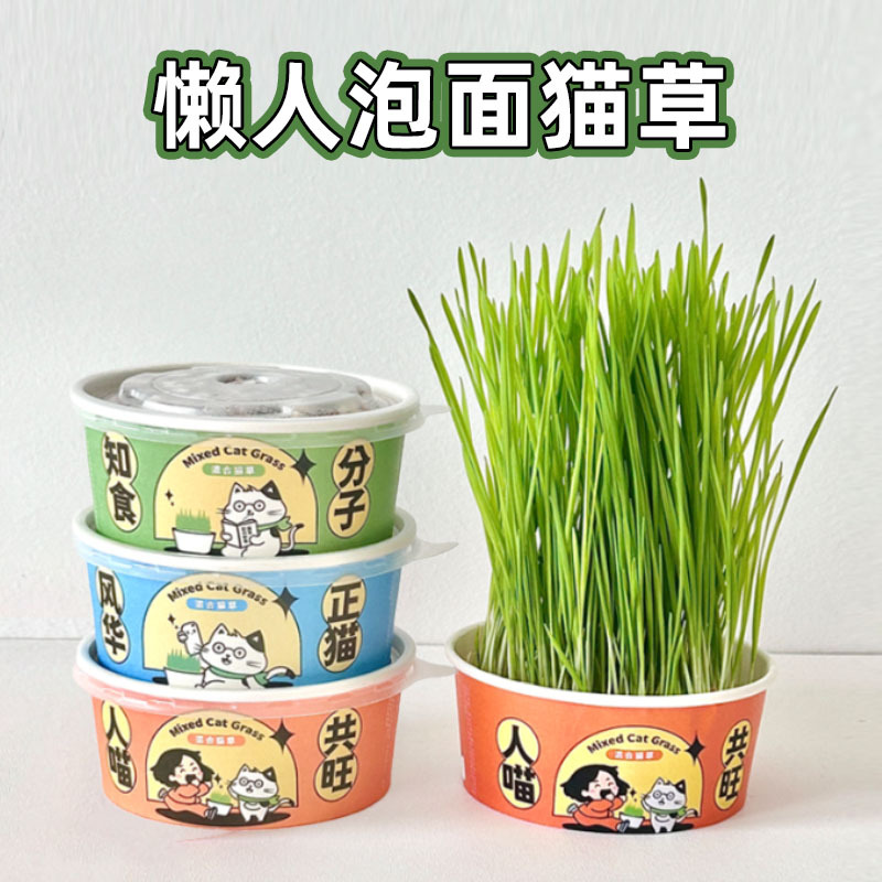 Planta en maceta de hierba para gatos, planta perezosa, taza de hierba para gatos, semillas de hierba para gatos, pelos de menta para gatos, bocadillos de hierba para gatos, fideos instantáneos