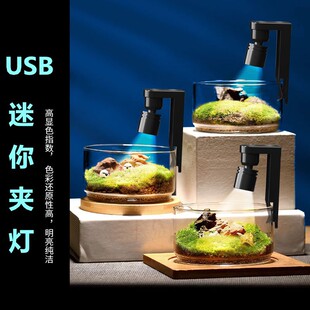 USB Clip Light Stand Aquarium Fish Tank Cob Landscaping Landscape Ornamental Fish Bracket Light Led Spotlight Low Voltage Dc Shooting