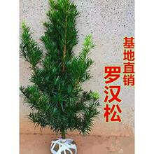 �_�h�ɘ��������e��ͥԺ���������ͺ��Gֲ���������ԭ����