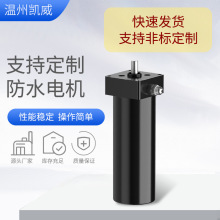 60W批发定制微型消防水炮防爆电机直流无刷防水水下推进