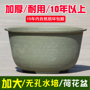 大號圓形加厚耐曬睡蓮荷花水培無孔塑料龍缸花盆室外種植使用10年