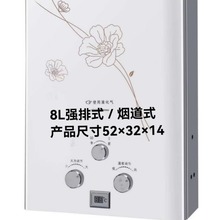 出口8L家用快速即热然气热水器煤气天然气液化气烟道强制排气式