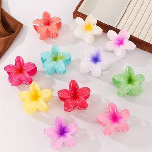 8cm��ɫ�����u����ץ�AС���»����~β�A���X�װlW�t��l�A