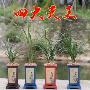 ��÷���m�������Ĵ���Ʒ�N�m�����ּ��A�����ϰ˷N��