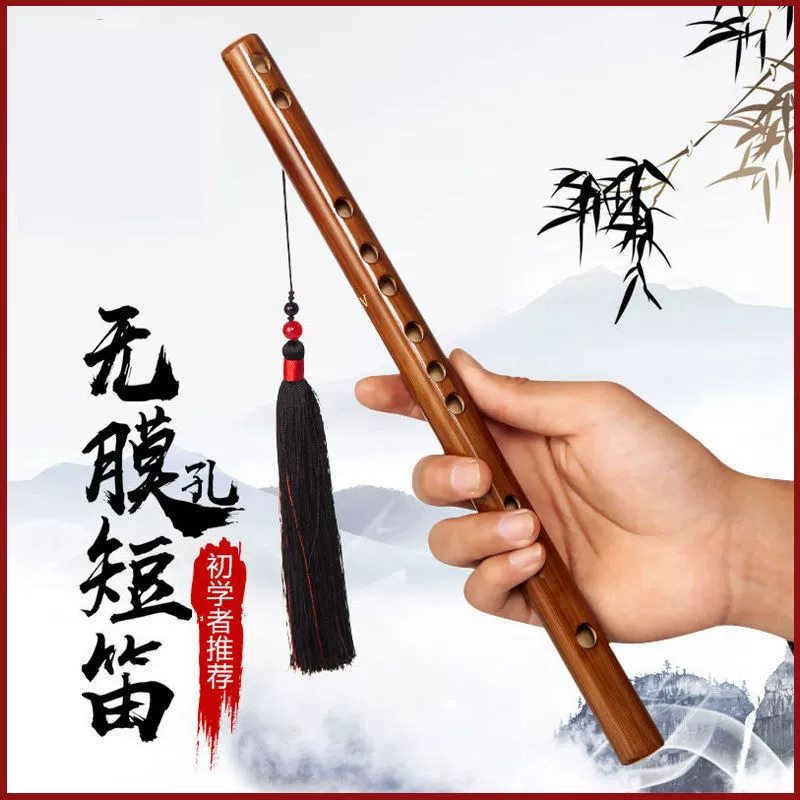 Small musical instruments for elementary school students for beginners for adults