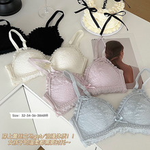 ʽǱpϵ노Сؾ۔nŮoȦQ羳