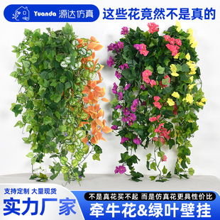 ���栿ţ���ٗl�͏d�b����ڵ��@�ڒ컨������栿ţ���G�~�ڒ�