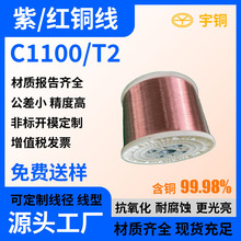 T2�h�����~�� �ߌ�늼t�~�� �Ƕģ�������~�A��