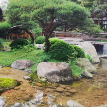 ���S���l�@�־��^ʯ ��ƤʯҰɽʯ ��Ȼ�[���L��ʯ �g��ʯ