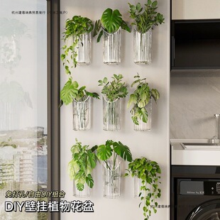 ˮ��ֲ��ڒ컨��͸���G�}�r����܄���͏d�����b���Gֲ��ƿ