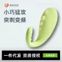 情趣成年人派对远程跳蛋