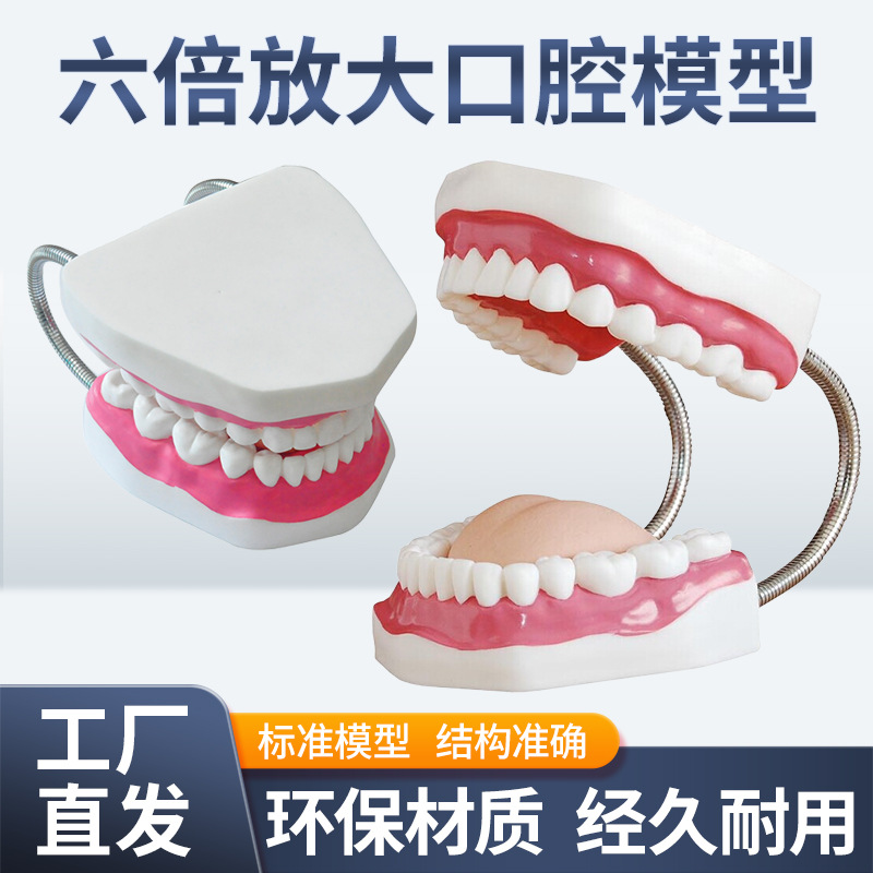 ����������ģ�ʹ����������ѧģ�� 6���Ŵ� ��ǻ������ģ��