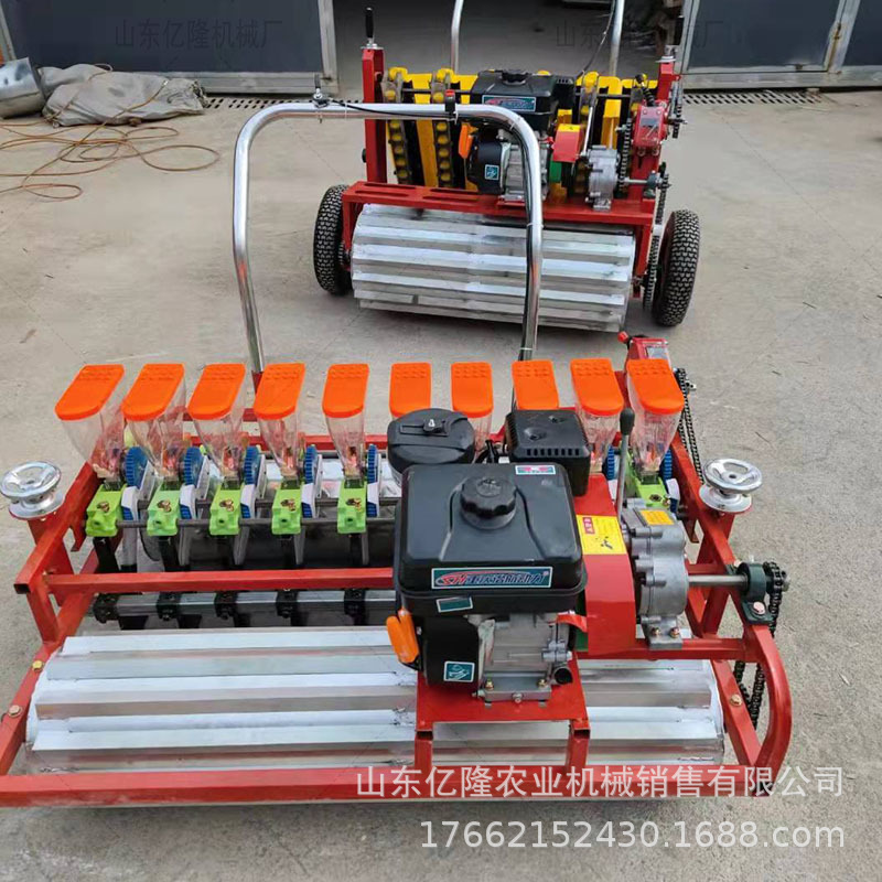 行距株距可调蔬菜播种机 上海青小油菜播种机 丹参牛膝点播机