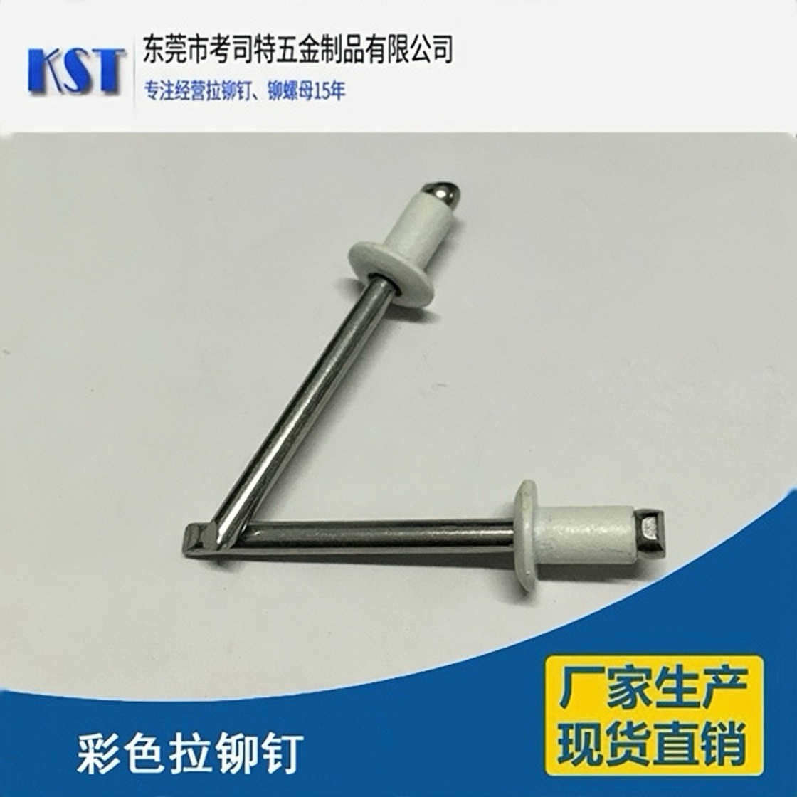供应烤漆拉钉 白色拉铆钉彩色拉钉 开口型圆头白色铝抽芯铆钉现货