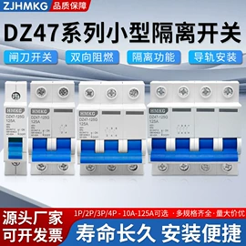 微型断路器;浪涌保护器;开关元件