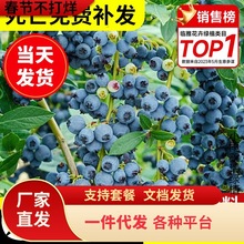 һ�����l�{ݮ����������{÷���玧�����ݮ�҃��ͺ��ϱ���܇����