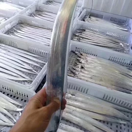 水产干货类;鱼类;鲜活水产