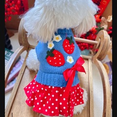 宠物比熊秋冬新款小型犬加莓莓毛衣公主裙泰迪猫咪衣服狗狗保暖