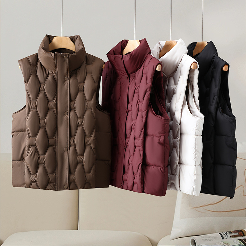 Chaqueta de algodón de pluma para mujeres 2025 otoño y invierno ligero corto chaleco de cuello vertical universal chaleco suelto chaqueta de algodón abrazadera chaqueta Hanchao image 1