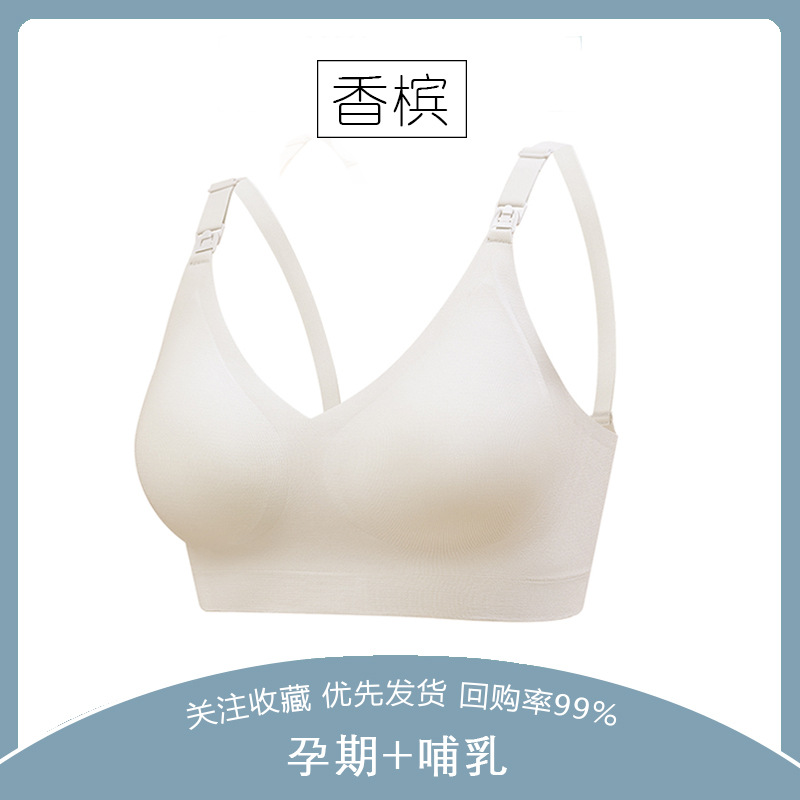 샴페인