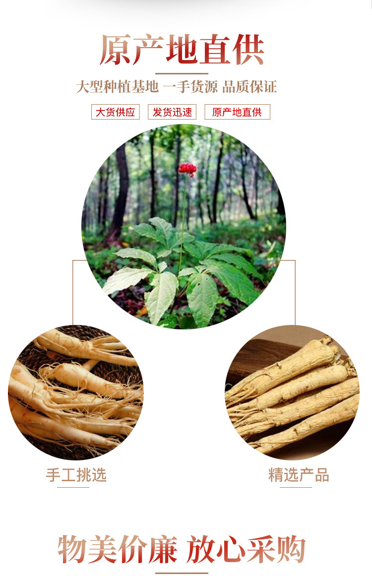 Ginseng Root Ren Shen Whole Dried White Ginseng for Soup and Wine Infusion 500g specifications